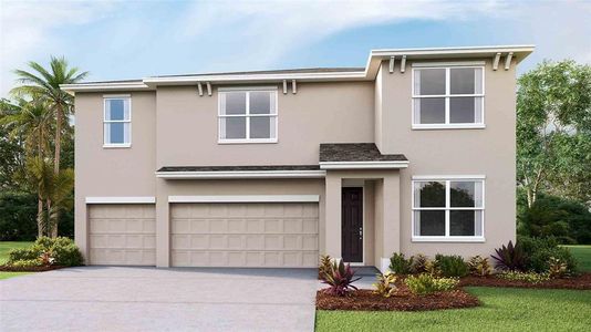 New construction Single-Family house 2361 Warren Acres Blvd, Wesley Chapel, FL 33543 Torino- photo 0