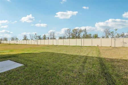 New construction Single-Family house 3901 Radiant Mountain Dr, Plant City, FL 33565 Yellowstone- photo 30 30