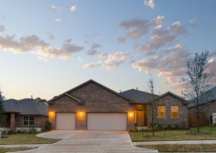 New construction Single-Family house 13215 Lanrin Park Lane, Houston, TX 77044 - photo 0