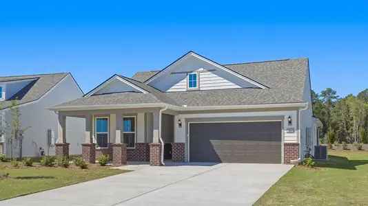 New construction Single-Family house 45 Red Cedar Ln, Bluffton, SC 29909 plan Palmary - image