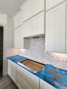 New construction Single-Family house 2053 Toscano Wy, Kerrville, TX 78028 - image 10