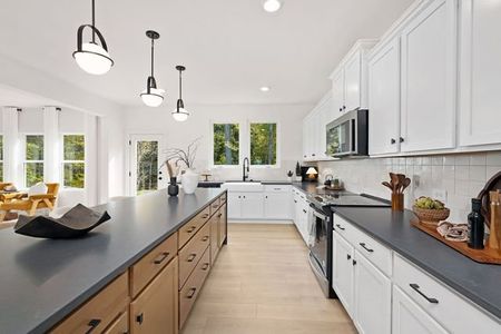 New construction Single-Family house 236 Britt Green Rd, St. George, SC 29477 plan Gideon - image 8