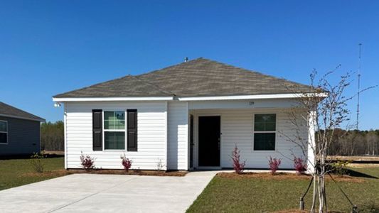 New construction Single-Family house 139 Sprocket Rd, Orangeburg, SC 29115 plan Perry - image