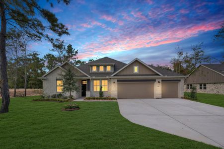 New construction Single-Family house 13747 Pamela Belle Path, Conroe, TX 77306 plan Geneva - image