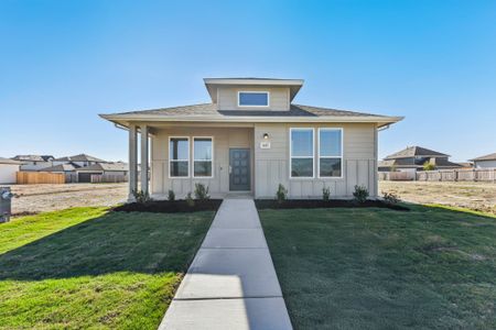 New construction Single-Family house 447 Porter Country Pkwy, Buda, TX 78640 plan Paintbrush - image