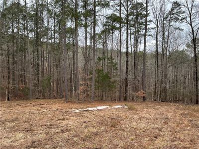 New construction Single-Family house 515 Penny Ln, Loganville, GA 30052 null- photo 70 70