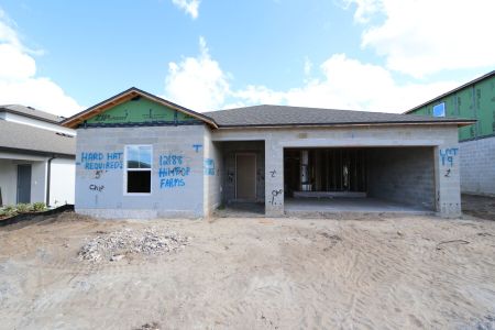 New construction Single-Family house 12188 Hilltop Farms Dr, Dade City, FL 33525 Ventura- photo 37 37