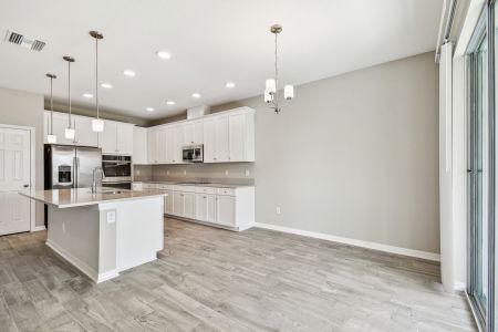 New construction Single-Family house 4774 Beachrose Way, Lakeland, FL 33811 Barcello Bonus- photo 132 132