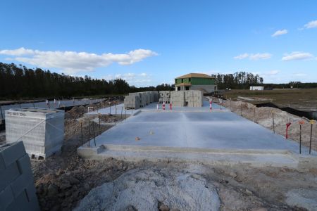 New construction Single-Family house 30980 Pendleton Landing Cir, Wesley Chapel, FL 33545 Magnolia- photo 11 11