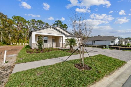 New construction Single-Family house 20219 Oriana Loop, Land O' Lakes, FL 34638 Corina  III- photo 122 122