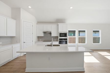 New construction Single-Family house 17113 Astral Ln, Manor, TX 78653 - image 6