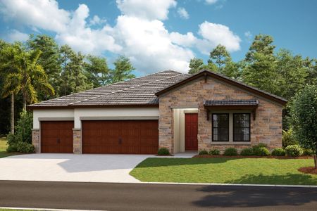 New construction Single-Family house 9753 Leaf Green Ln, Pasadena Hills, FL 33541 plan Hyde Park III - image
