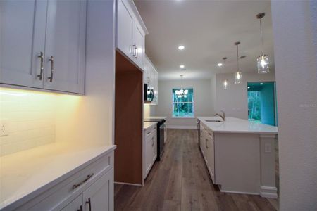 New construction Single-Family house 159 N Kinglet Ave, Hernando, FL 34442 - image 8