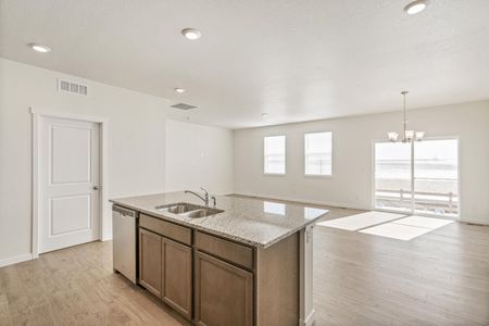 New construction Single-Family house 4837 Cattle Cross Ln, Castle Rock, CO 80104 null- photo 15 15