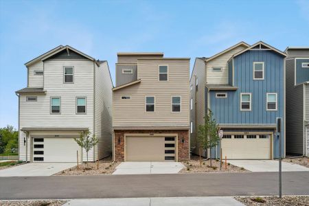 New construction Single-Family house 3089 Curly Grove, Colorado Springs, CO 80922 plan Primrose - image