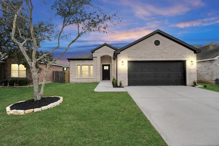 New construction Single-Family house 5425 Rio Ramos Street, Rosharon, TX 77583 - photo 0