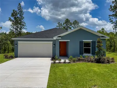 New construction Single-Family house 4223 Sw 82Nd Ln, Ocala, FL 34476 plan Bloom - image