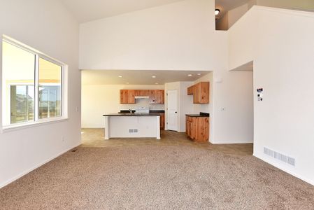 New construction Single-Family house 437 Vivid Ln, Windsor, CO 80550 null- photo 11 11