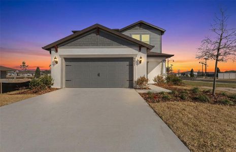 New construction Single-Family house 9021 Wildlight Trl, Wildwood, FL 34785 plan Mill Run - image
