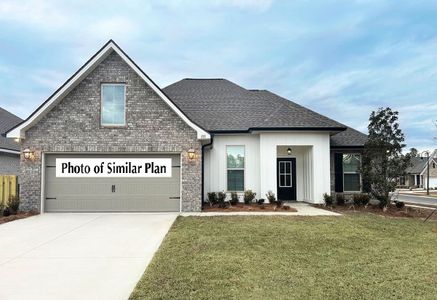 Bird Song at Hammock Bay by DSLD Homes in Freeport - image 13