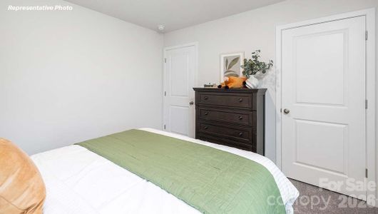 New construction Single-Family house 15138 Puffin Ct, Charlotte, NC 28215 - image