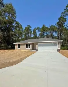 New construction Single-Family house 15555 Sw 27Th Ln, Ocala, FL 34481 - image