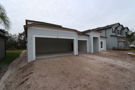 New construction Single-Family house 5050 Bromeliad Ave, Wimauma, FL 33598 Barcello Bonus- photo 72 72