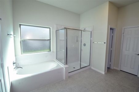 New construction Single-Family house 3703 Pedregal Rd, League City, TX 77539 - image 8