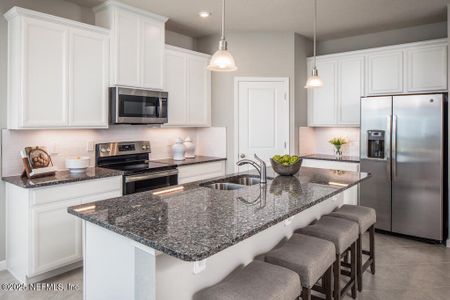 Seminole Palms Single-Family Homes by Ryan Homes in Palm Coast - image 13