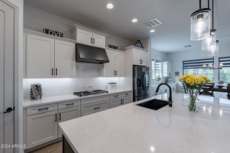 Modern kitchen details