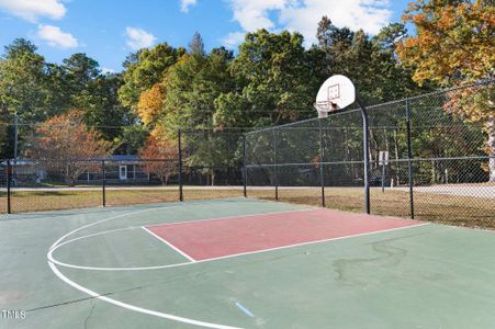 Basketball Court 1