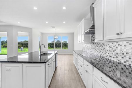 New construction Single-Family house 5112 Lake Toscana Dr, Wimauma, FL 33598 Burano- photo 12 12