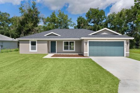 New construction Single-Family house 194 Malauka Run, Ocklawaha, FL 32179 - image