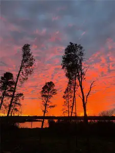 New construction Single-Family house 17044 Cavallo Dr, Montverde, FL 34756 - image