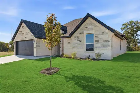 New construction Single-Family house 306 Sun Flower Ct, Tolar, TX 76476 - image