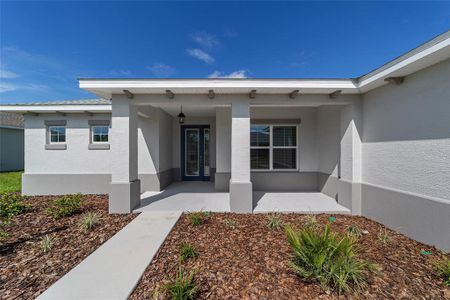 New construction Single-Family house 9912 Sw 106Th Cir, Ocala, FL 34481 - image