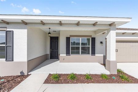 New construction Single-Family house 9960 Sw 106Th Cir, Ocala, FL 34481 plan Ariana - image 3