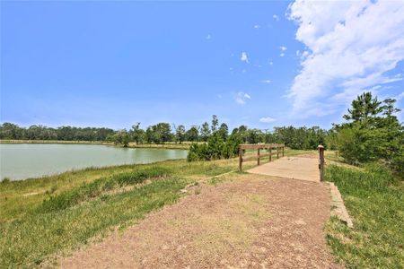 Lakes at Crockett Martin by Anglia Homes in Conroe - photo 6 6