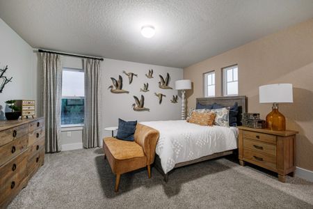 Buffalo Crossing by Chesmar Homes in Cibolo - photo 7 7