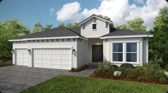 New construction Single-Family house 10535 Eclipse St, Sarasota, FL 34241 plan Pallazio II - image