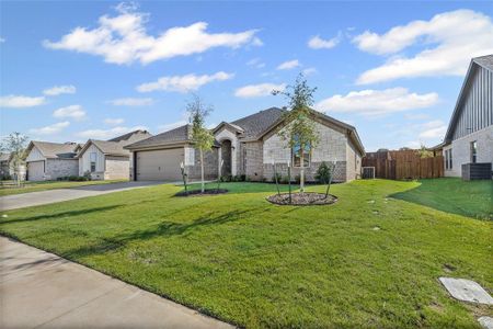 New construction Single-Family house 620 Jameson St, Springtown, TX 76082 - image