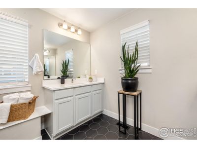 New construction Single-Family house 2020 Blue Moon Dr, Windsor, CO 80550 - image 13