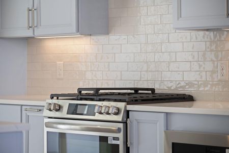 New construction Duplex house 408 Oak Hammock Ct, Unit Lot 54, Johns Island, SC 29455 - image 15