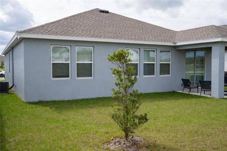 New construction Single-Family house 4211 Little Owl Ln, Kissimmee, FL 34746 null- photo 41 41