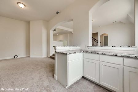 New construction Single-Family house 4706 Buttonbush Dr, Venus, TX 76084 plan Provence II - image 10