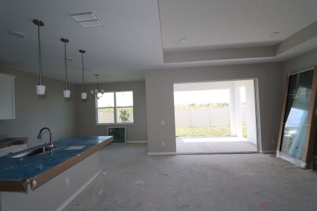 New construction Single-Family house 3150 Adams Cross Dr, Zephyrhills, FL 33540 Miranda- photo 90 90