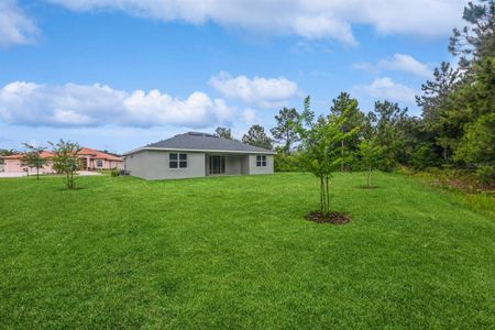 New construction Single-Family house 91 Flemingwood Ln, Palm Coast, FL 32137 null- photo 27 27