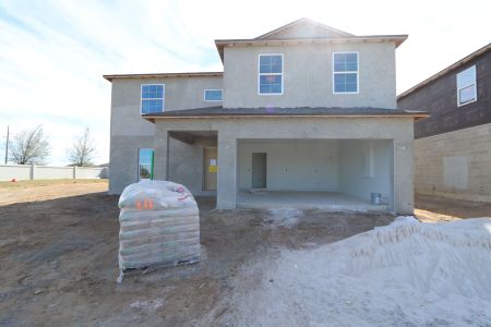 New construction Single-Family house 38350 Tobiano Loop, Dade City, FL 33525 Cabo- photo 55 55