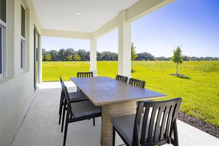 New construction Single-Family house 6000 Blue Cedar Rd, Leesburg, FL 34748 plan Serena - image