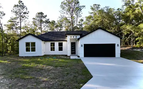 New construction Single-Family house 1133 W Nankeen Dr, Dunnellon, FL 34434 - image